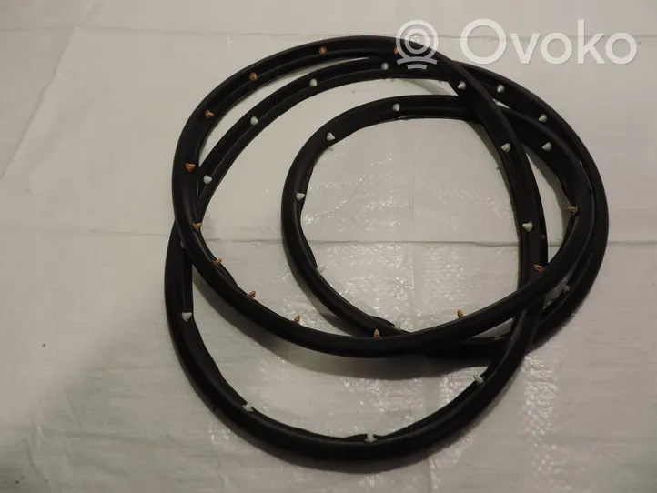 Opel Zafira C Front door rubber seal 39019692