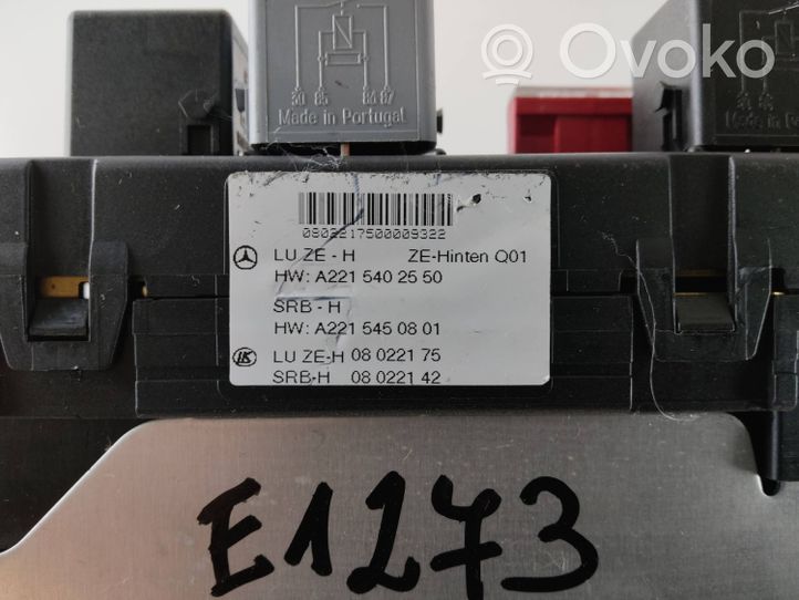 Mercedes-Benz S W221 Fuse module A2215450801