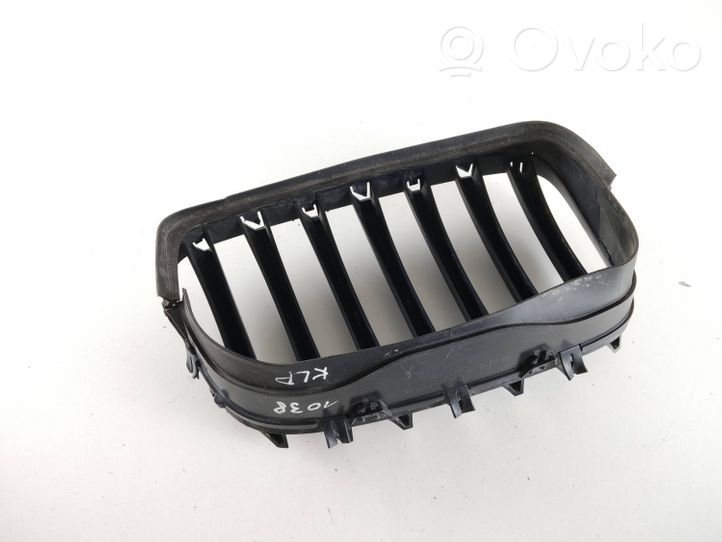 BMW X6 E71 Front grill 7171395