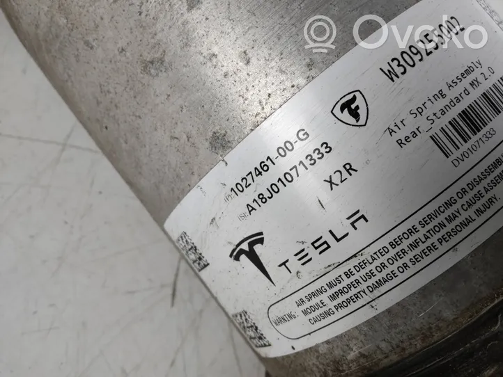 Tesla Model X Amortiguador/suspensión neumática trasera 102746100G