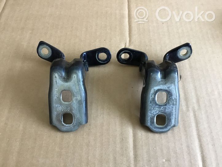 Opel Insignia B Set di cerniere portiera anteriore A046057