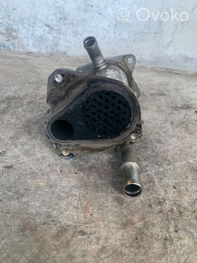 Nissan Juke I F15 EGR-venttiili/lauhdutin 147355713r