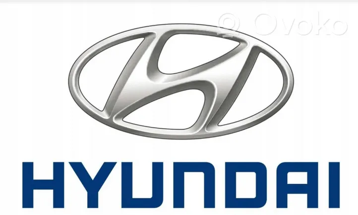 Hyundai i30 Griglia superiore del radiatore paraurti anteriore 8X-5N9-M7LK