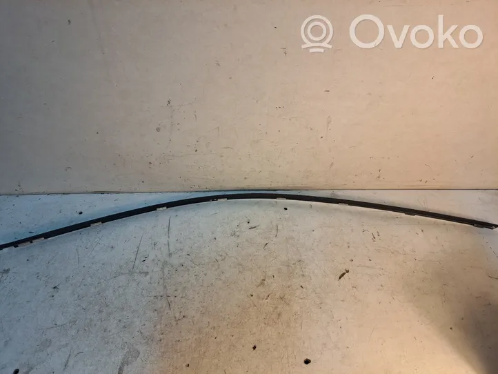 BMW 5 E60 E61 Other front door trim element 