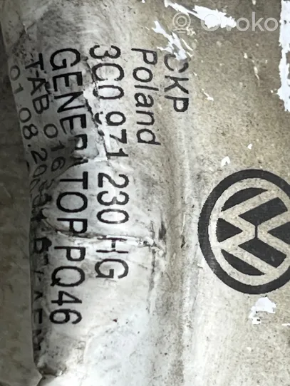 Volkswagen PASSAT CC Cables (motor de arranque) 3C0971230HG