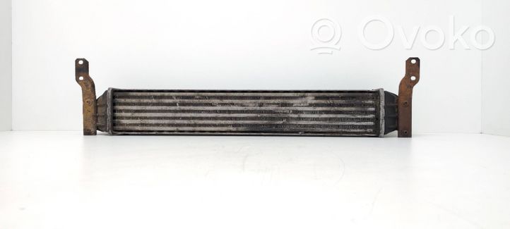 Seat Alhambra (Mk1) Radiatore intercooler 7M3145805