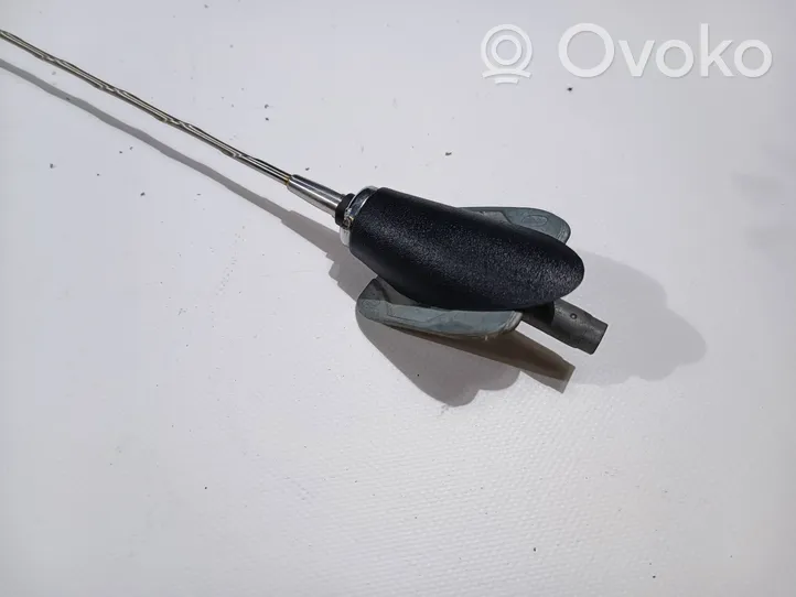 Dodge RAM Radio antena 