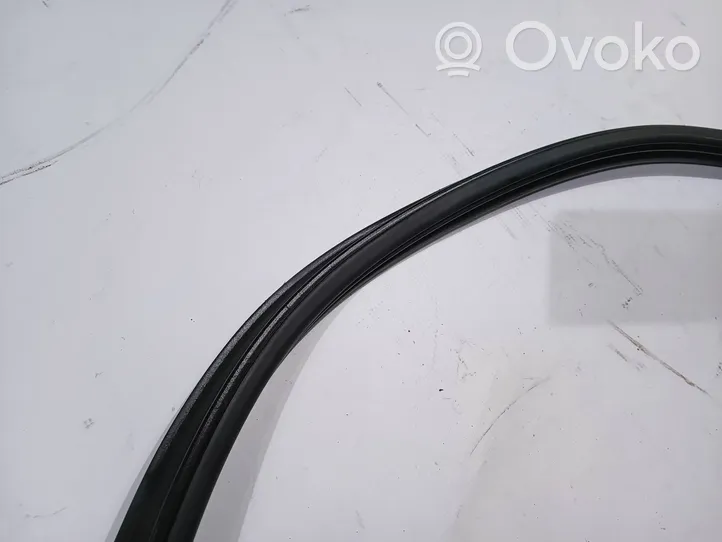 Ford Explorer Trunk rubber seal (body) 