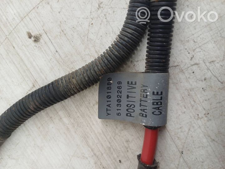 Land Rover Freelander Cavo positivo (batteria) YTA101880