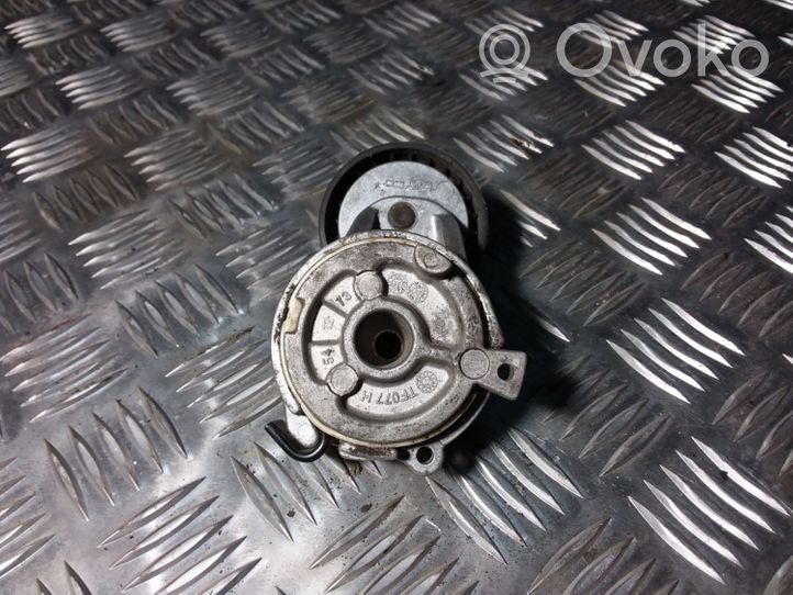 Citroen Berlingo Tendicinghia generatore/alternatore 