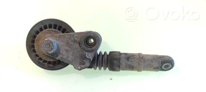 Volkswagen PASSAT B5.5 Napinacz paska wielorowkowego / Alternatora F23470909