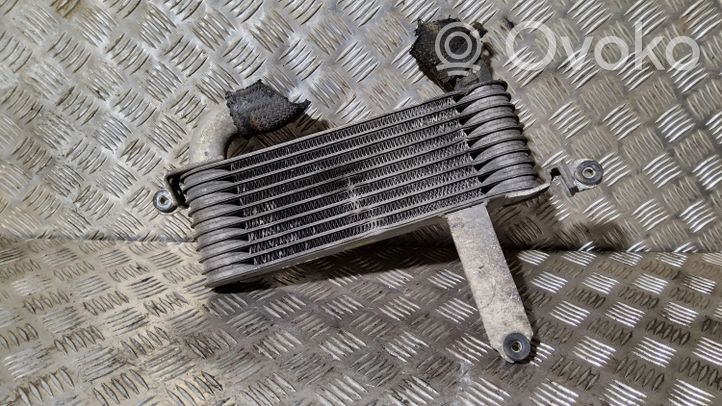 Hyundai Matrix Chłodnica powietrza doładowującego / Intercooler 2827027620