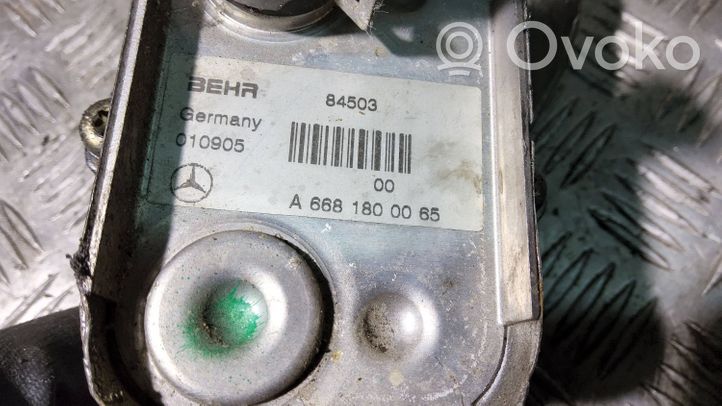 Mercedes-Benz Vaneo W414 Öljynsuodattimen kannake A6681800210