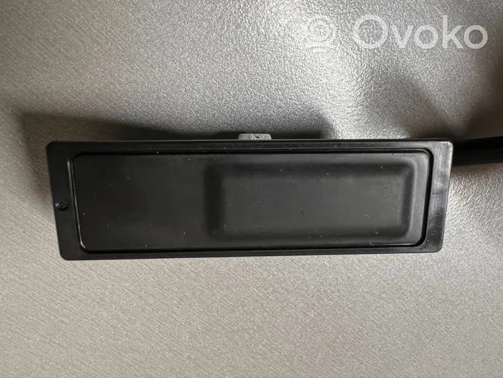 Nissan Qashqai Interruptor para abrir la puerta trasera 253804EA0A