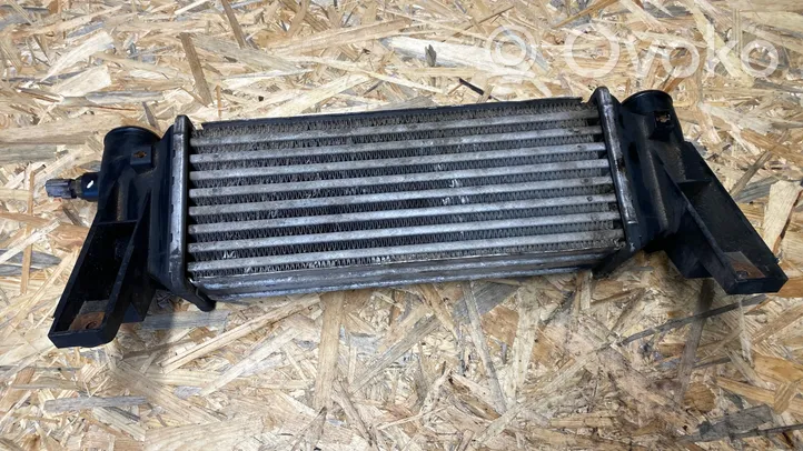 Ford Connect Radiatore intercooler 197231