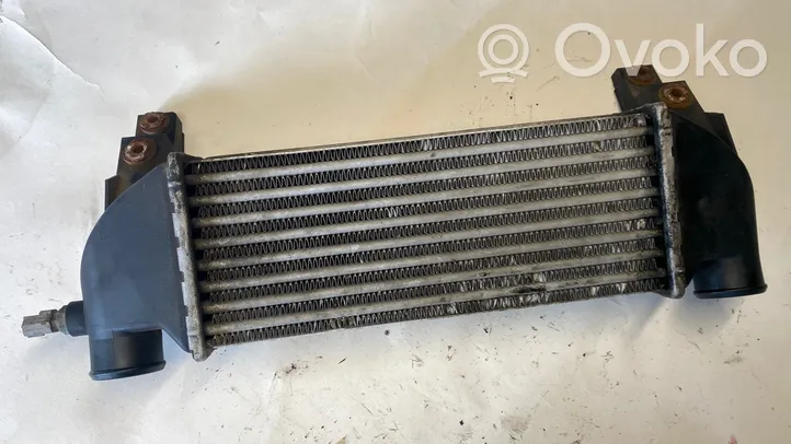 Ford Connect Chłodnica powietrza doładowującego / Intercooler 