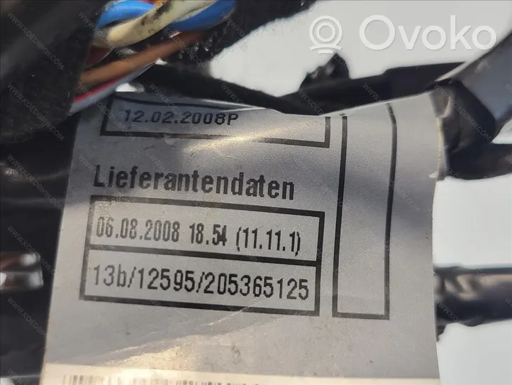 BMW X5 E70 Cablaggio porta anteriore 61126978772