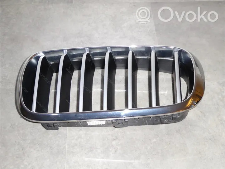 BMW X6 F16 Grotelės viršutinės 51137373697