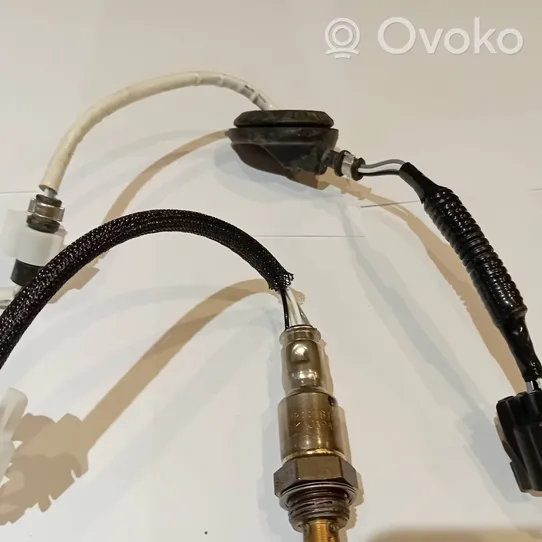 Honda Accord Lambda probe sensor 36532-RAD-L12