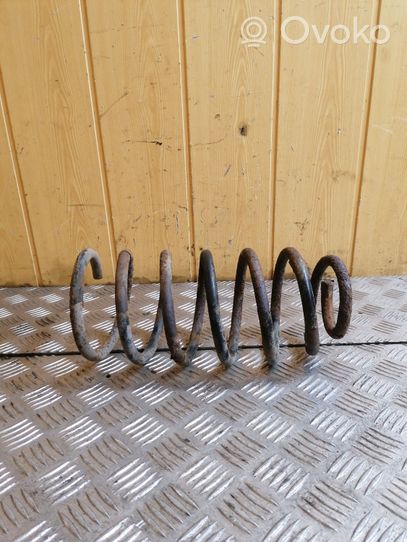 Volkswagen New Beetle Front coil spring 