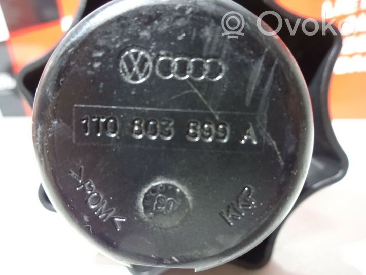 Audi A5 8T 8F Крепежный винт (запасное колесо) 1T0803899A