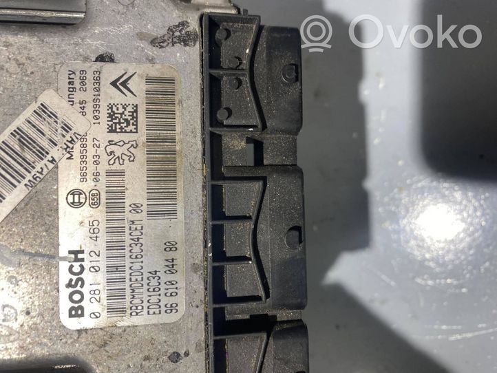 Peugeot 207 Sterownik / Moduł ECU 9661004480