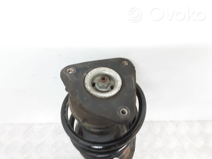 Volvo V40 Ammortizzatore anteriore con molla elicoidale 31360946