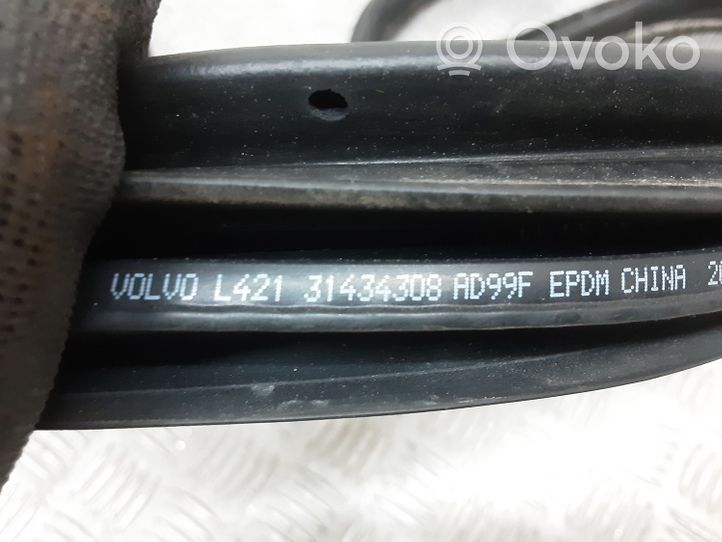 Volvo S60 Galinių durų sandarinimo guma 31434308