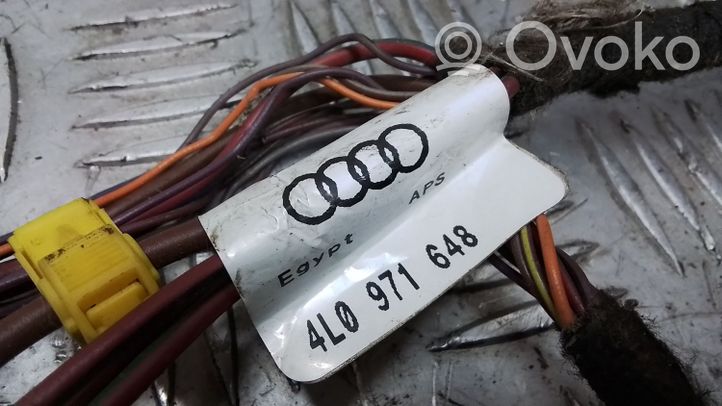 Audi Q7 4L Juego de techo solar 4L0877041L