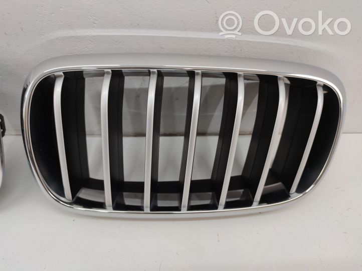 BMW X6 F16 Griglia superiore del radiatore paraurti anteriore 7316075