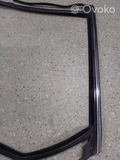 Ford Edge II Rubber seal rear door window/glass FT4BR25825