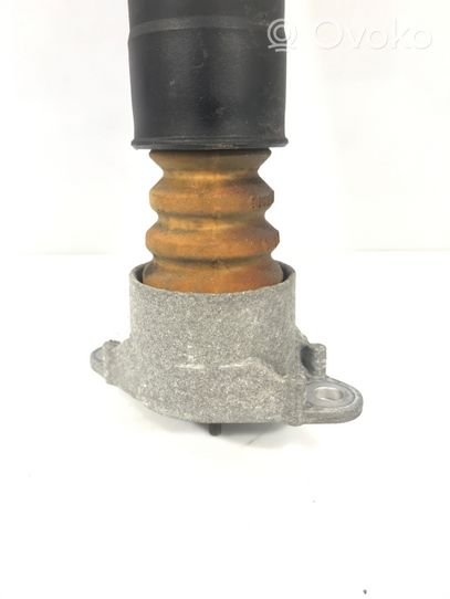 Ford Ecosport Rear shock absorber/damper GN151808024C