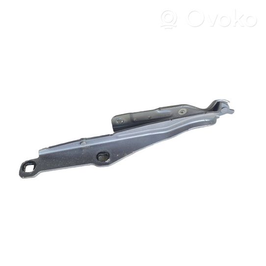 Chrysler 300C Cerniere del vano motore/cofano 55113551AF