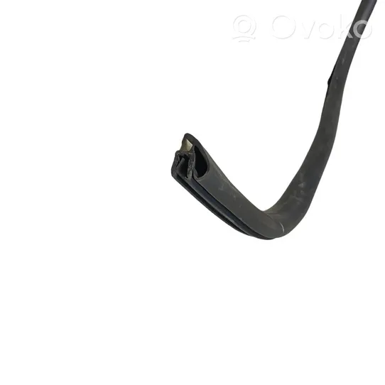 Ford Escape IV Front door rubber seal 