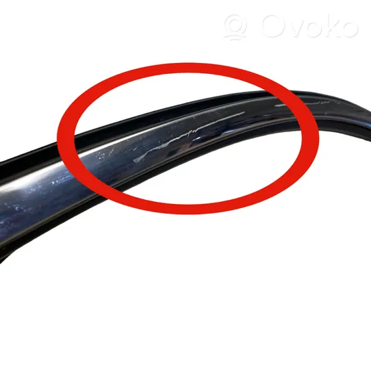 Ford Kuga III Front door glass trim molding LJ6BS20898AAW