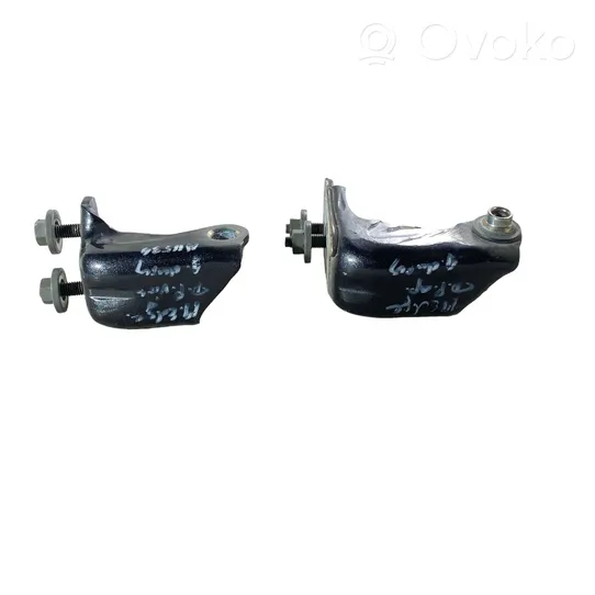 Ford Edge II Set di cerniere portiera posteriore 26811