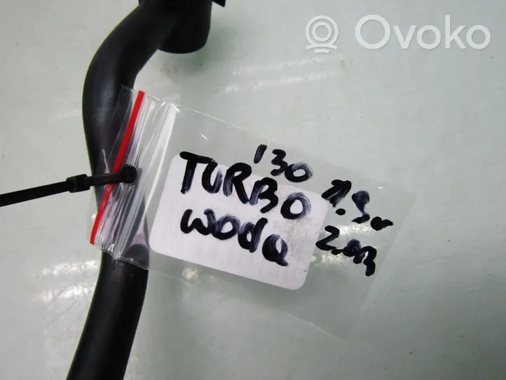 Hyundai i30 fastback Tubo flessibile mandata olio del turbocompressore turbo 282502GTB1