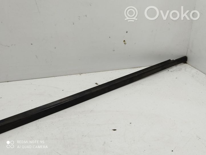 Volkswagen Sharan Rear door glass trim molding 