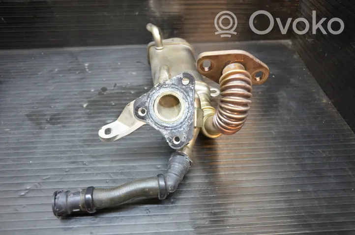 Nissan Juke I F15 Refroidisseur de vanne EGR 147357324R