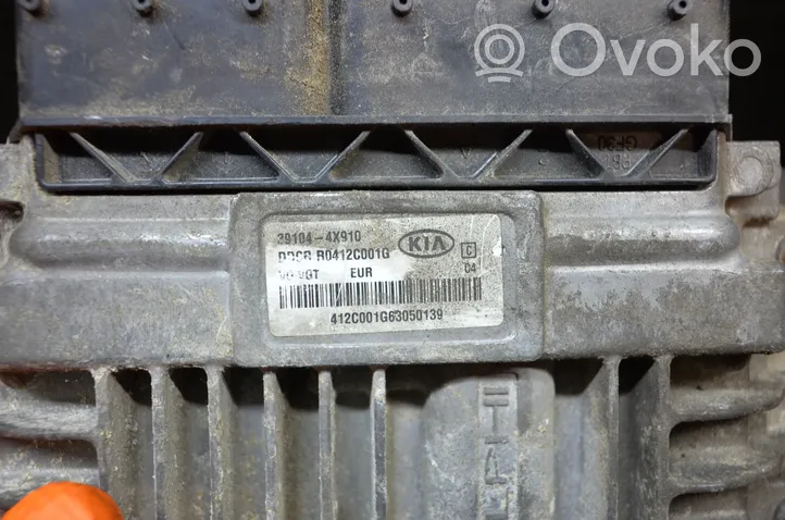 KIA Carnival Engine control unit/module 391044X910