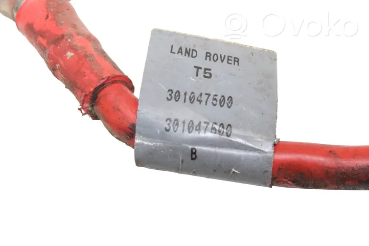 Land Rover Discovery 3 - LR3 Cable positivo (batería) 301047500
