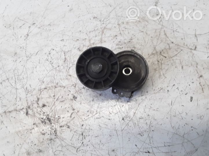 Volvo S40 Tendicinghia generatore/alternatore 