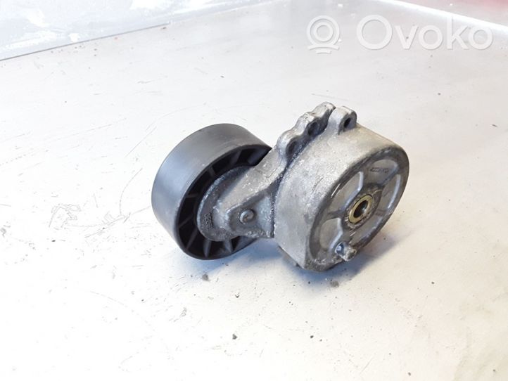 Volvo S40 Napinacz paska alternatora 