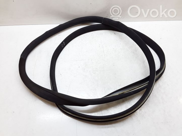 Mercedes-Benz S W220 Rear door rubber seal (on body) 