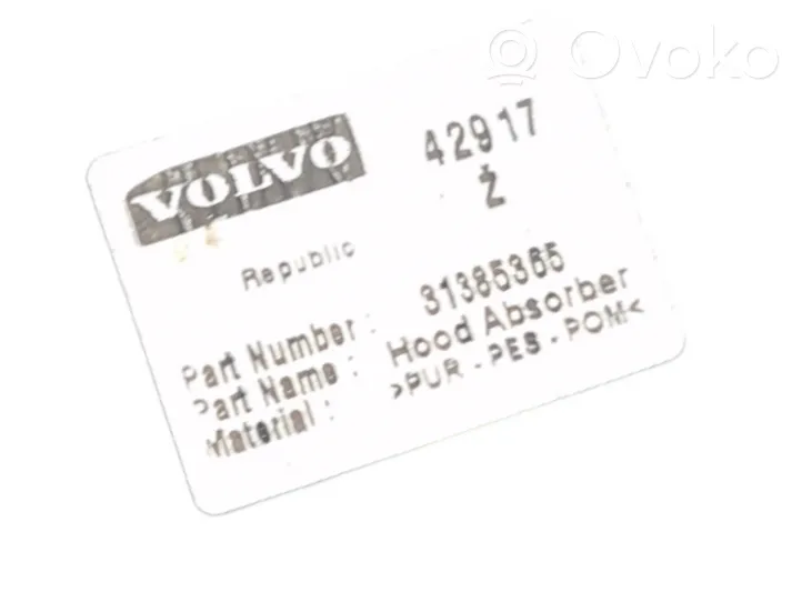 Volvo V40 Isolation acoustique et thermique pour capot 31385365