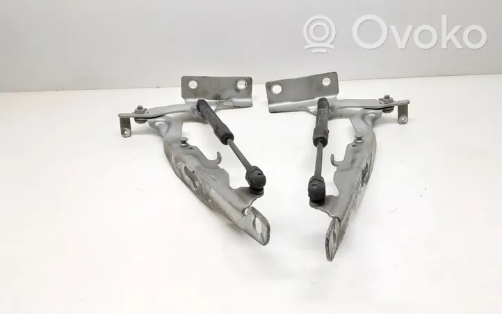 Volvo V60 Cerniere del vano motore/cofano 30799179