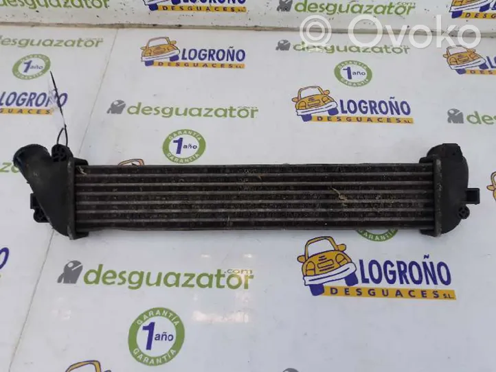 Renault Kangoo III Intercooler radiator 8200221885