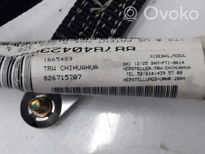 BMW X5 E53 Stogo oro pagalvė (užuolaida) 72128267157