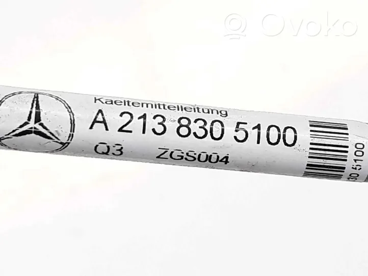 Mercedes-Benz GLC X253 C253 Tubo flessibile di aspirazione del compressore ad aria dello pneumatico A2138305100
