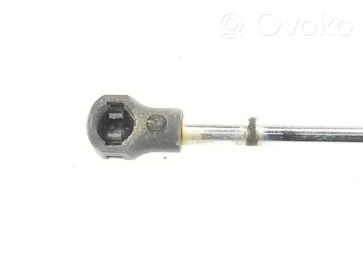 Renault Clio III Ammortizzatore portellone anteriore/cofano 7700842256